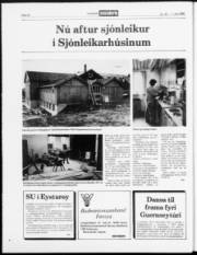 Síða 20