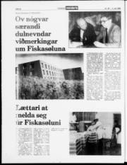 Síða 22
