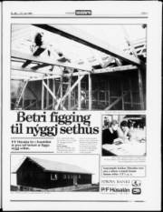 Síða 3