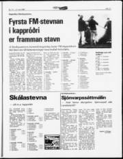 Síða 11
