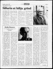 Síða 21