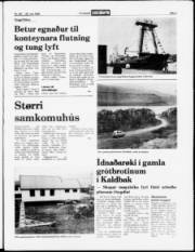 Síða 3