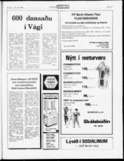 Síða 15