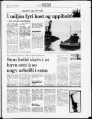 Síða 3