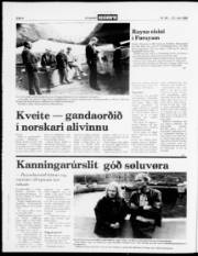 Síða 4