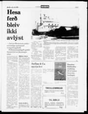 Síða 5