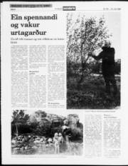 Síða 8