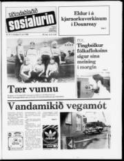 Síða 1