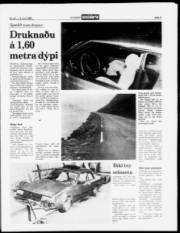 Síða 5