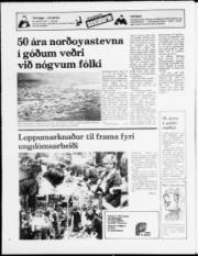Síða 24