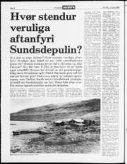 Síða 2