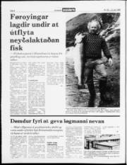 Síða 4