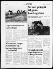 Síða 14