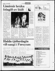 Síða 19