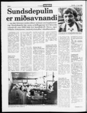 Síða 2