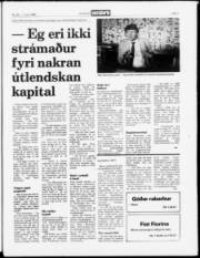 Síða 3