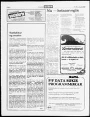 Síða 6