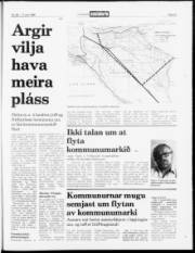 Síða 21
