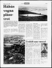 Síða 3
