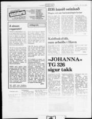 Síða 6