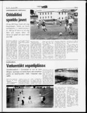 Síða 9