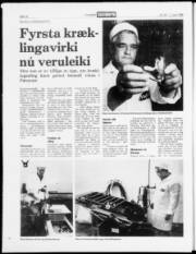 Síða 16