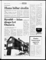 Síða 3