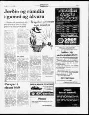 Síða 5