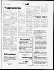 Síða 13