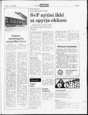 Síða 19
