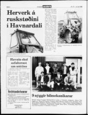 Síða 4