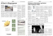 Síða 3