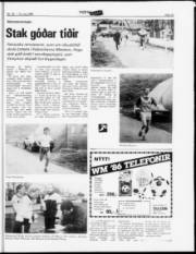 Síða 13