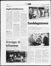 Síða 14