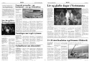 Síða 6