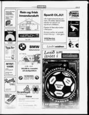 Síða 15