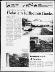 Síða 20