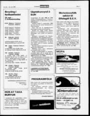 Síða 11