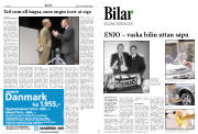Síða 9