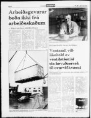 Síða 2