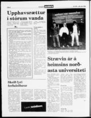 Síða 4
