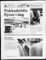 Síða 24