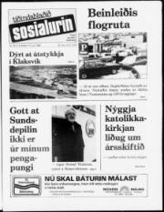 Síða 1