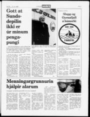 Síða 3