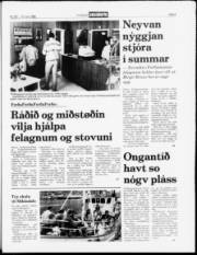 Síða 5