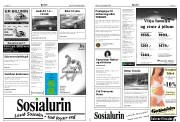 Síða 14
