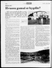 Síða 8