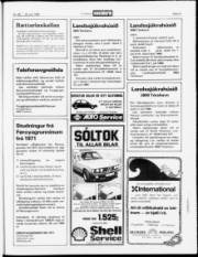 Síða 21