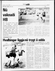 Síða 15