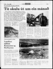 Síða 3